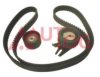 OPEL 6606028 Timing Belt Kit